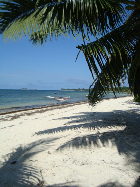 Grand'Anse, Praslin